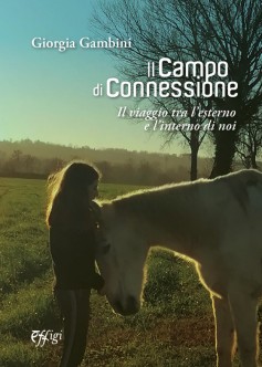 Il campo di connessione